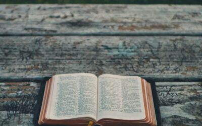 Some Tools for Reading the Bible